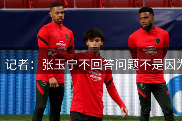 记者：张玉宁不回答问题不是因为被辱骂，而是看台朝他投掷杂物！